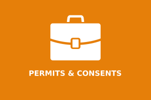 National Permitting Service delays set to continue into 2021