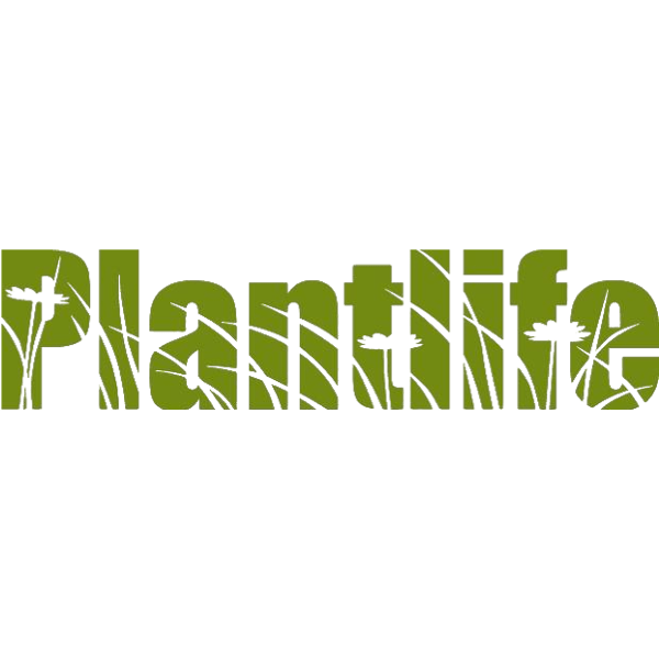 Wiser Environment supports the Plantlife road verge campaign